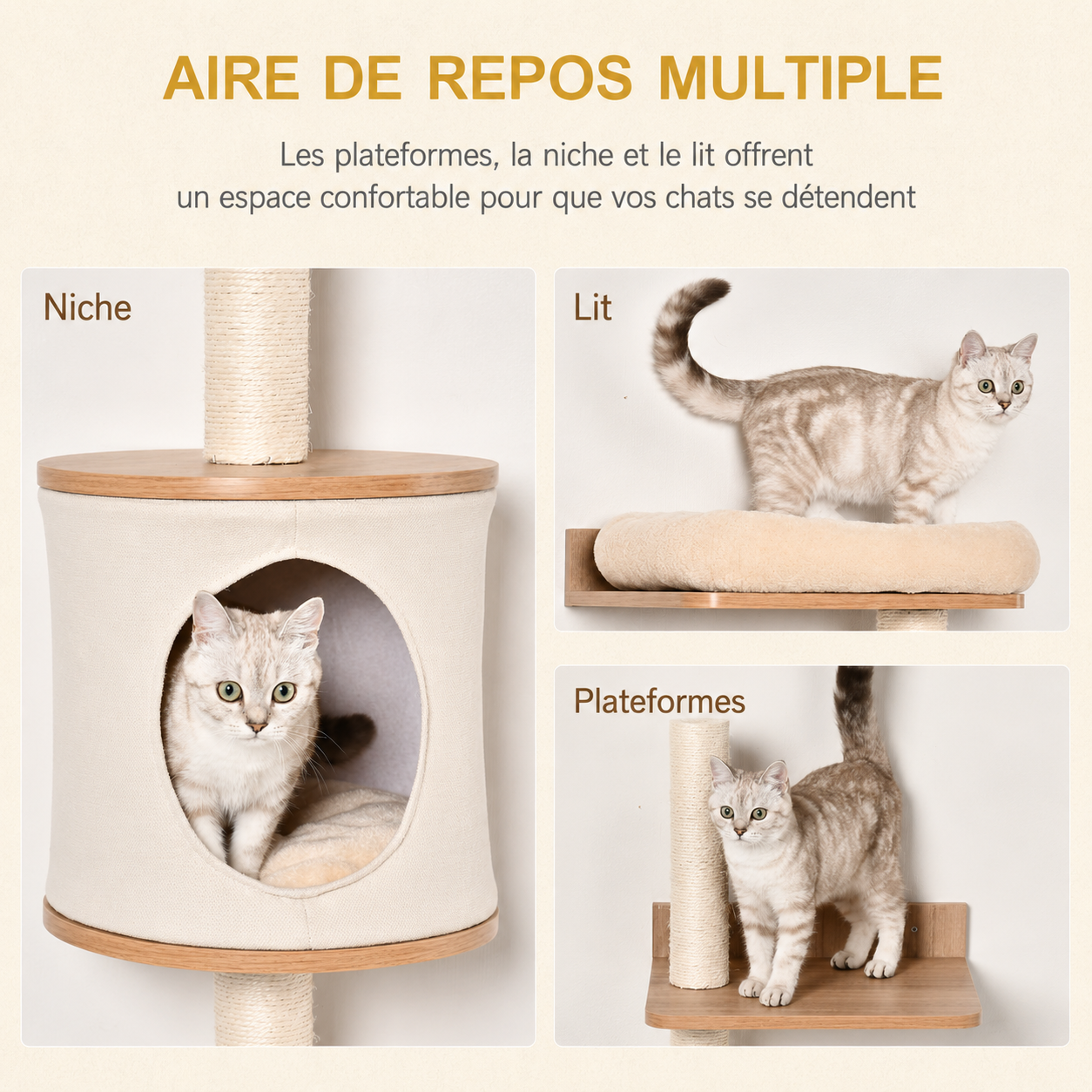 Arbre à Chat Mural – 149 cm