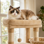 Arbre à Chat XXL – 210 cm