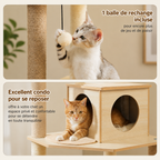 Arbre à Chat Bois Moderne – 143 cm