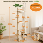 Arbre à Chat Sol-Plafond Bois – 256 cm
