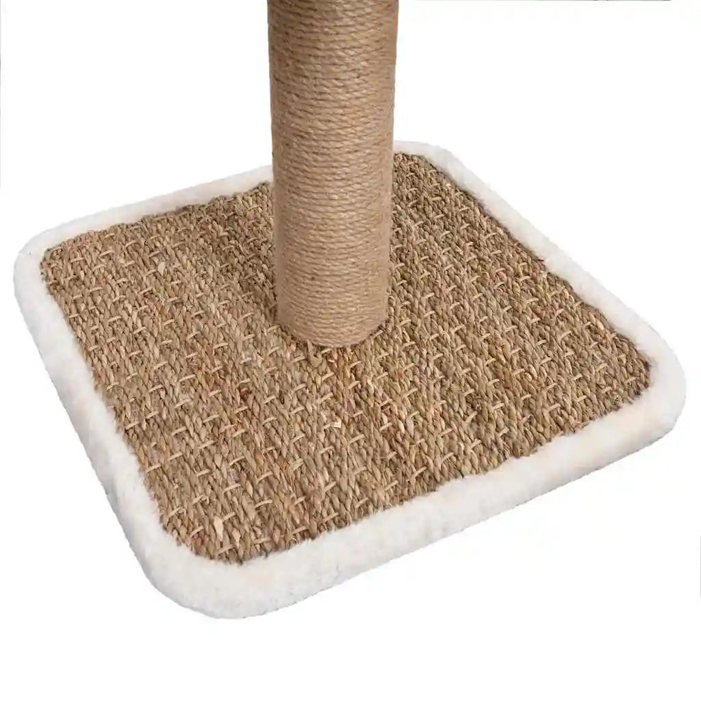 Petit Arbre à Chat Rotin Compact – 56 cm