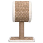 Petit Arbre à Chat Rotin Compact – 56 cm