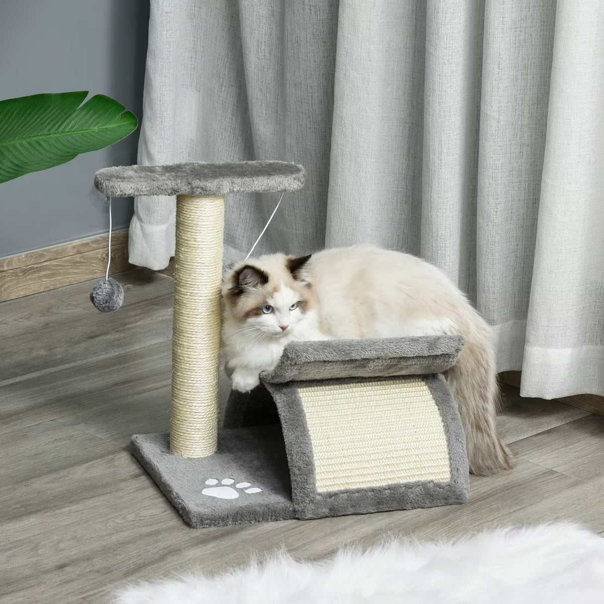 Petit Arbre à Chat Compact – 43 cm – 3 niveaux