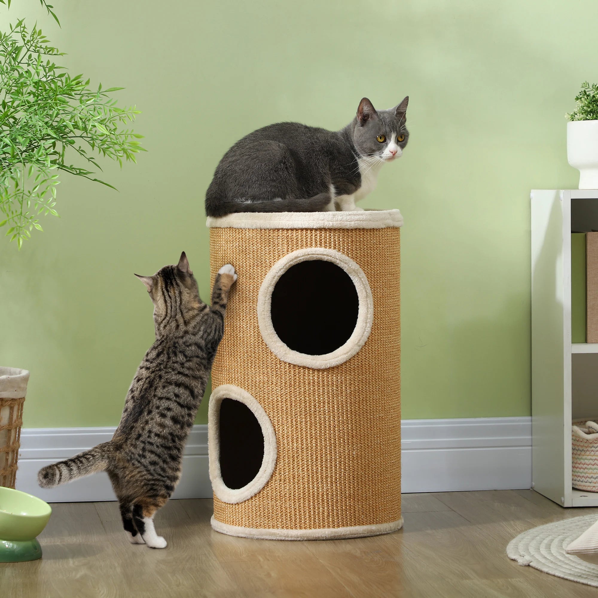 Arbre à Chat Rond Compact – 60 cm