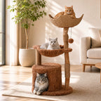 Arbre à Chat Bois Massif Moderne – 102 cm