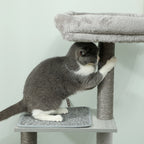 Arbre à Chat Bois – 126 cm