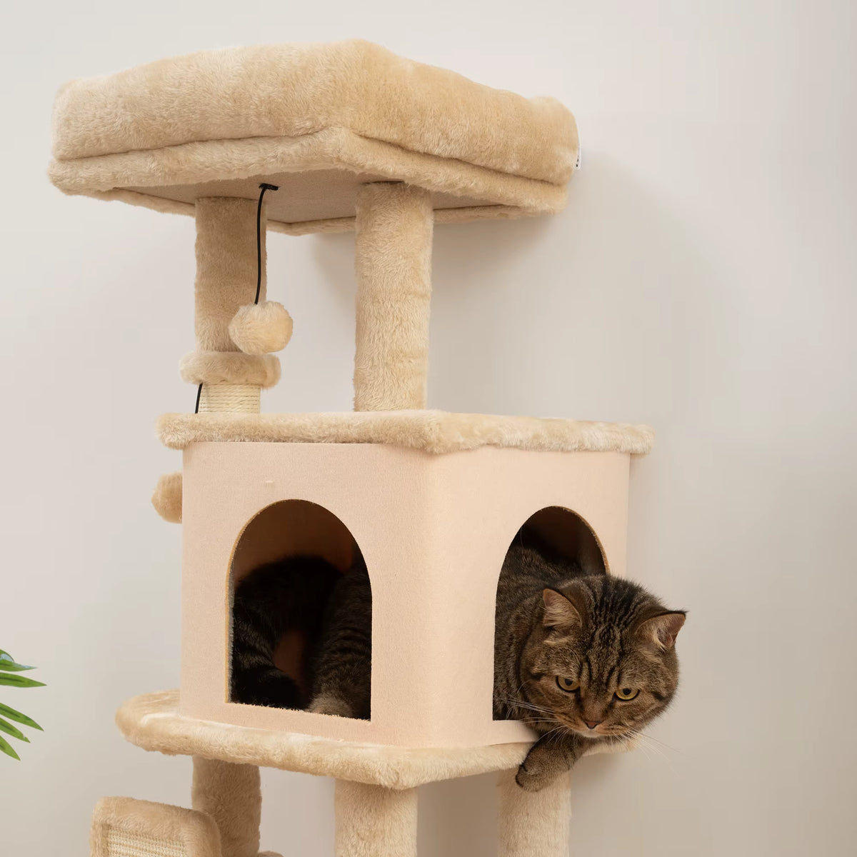Arbre à Chat Bois 104 cm – 4 niveaux