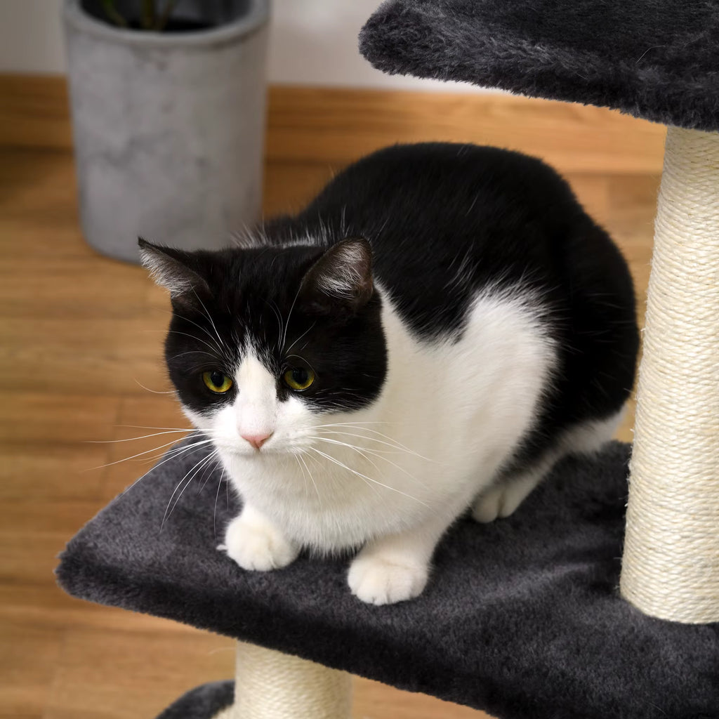 Arbre à Chat Bois Multiplateformes – 3 niveaux
