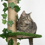 Arbre à Chat Sol-Plafond XXL – 242 cm