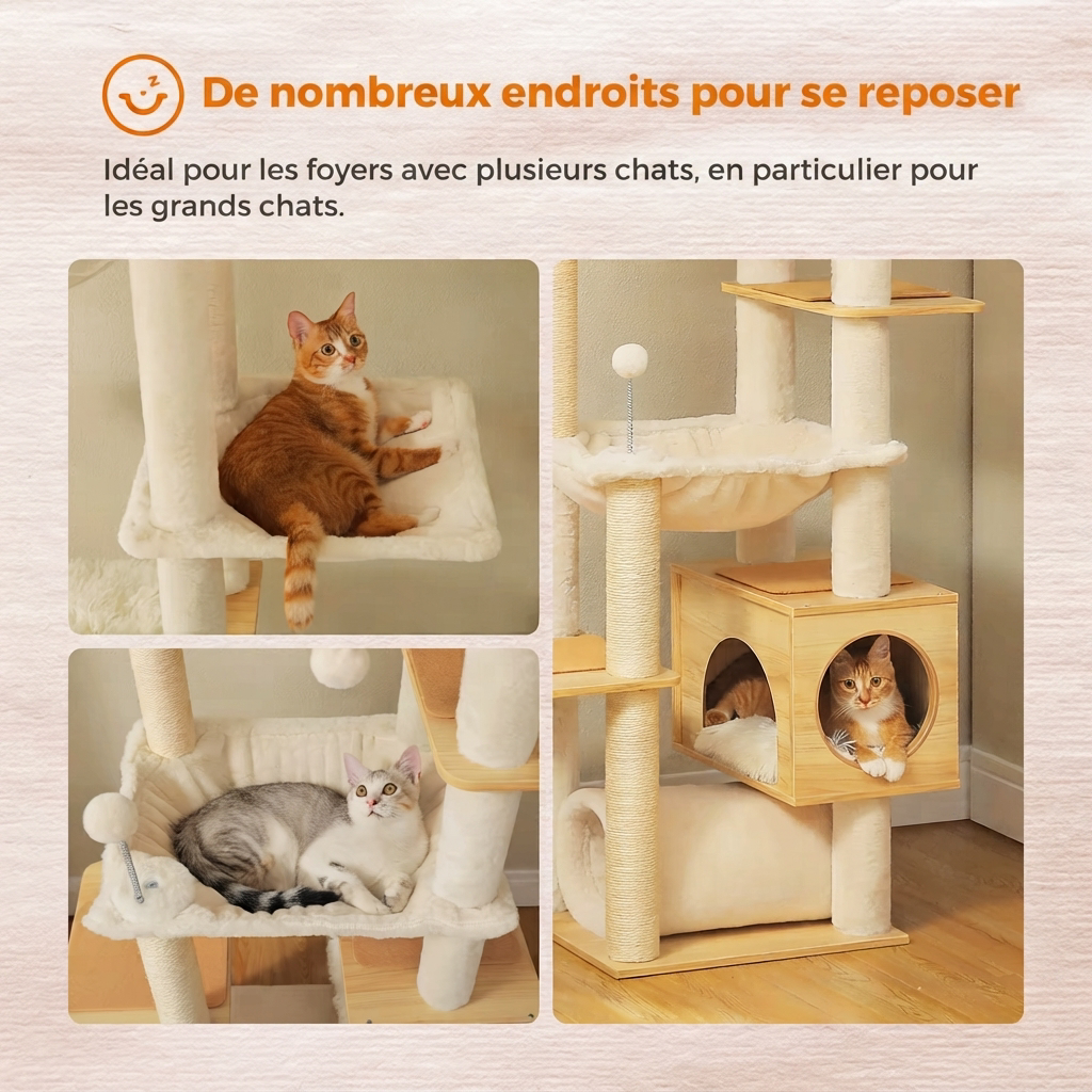 Arbre à Chat Sol-Plafond Bois – 256 cm